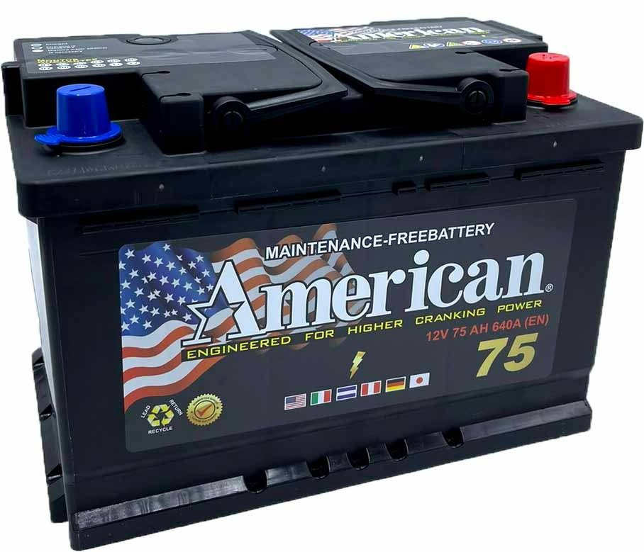 whatsapp image 2025 09 26 at 10.34.25 am